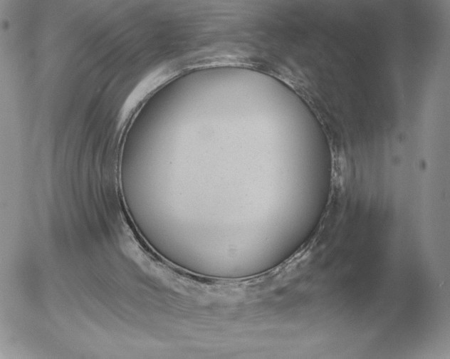 X0000052980004200507221339