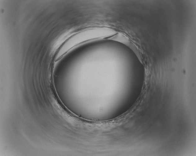 X0000052980005200507221339