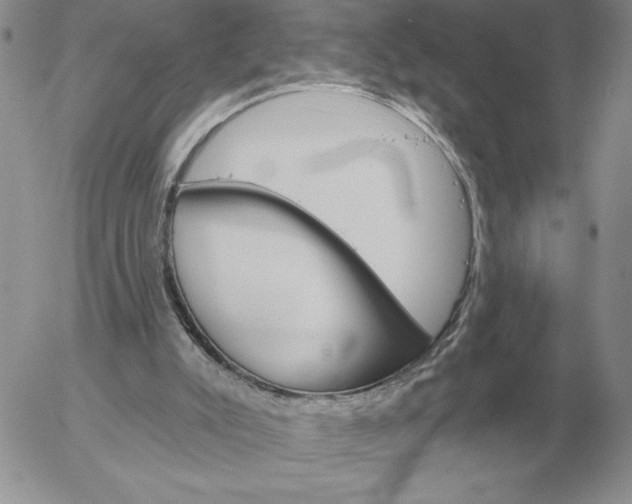 X0000052980007200507221339