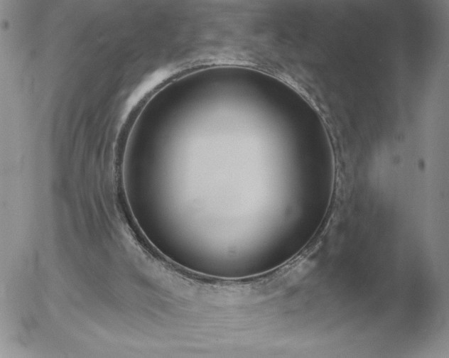 X0000052980008200507221339