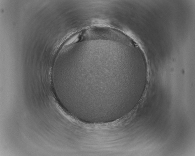 X0000052980009200507221339