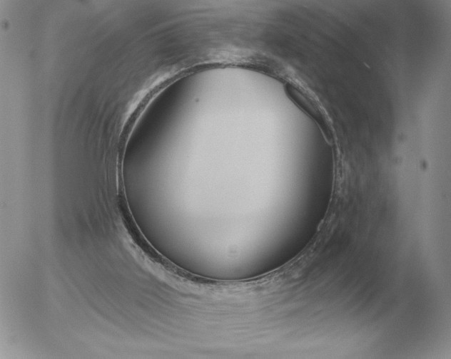 X0000052980011200507221339