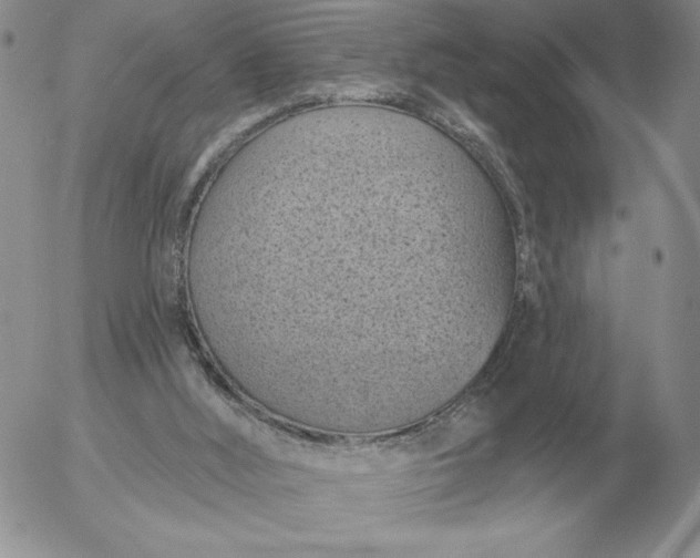 X0000052980012200507221339