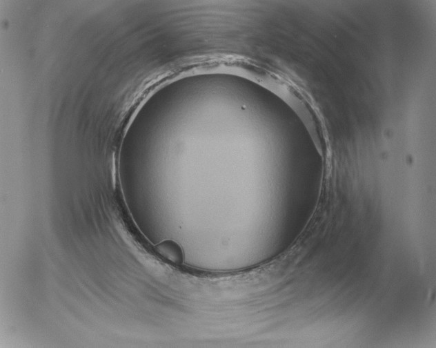 X0000052980013200507221339