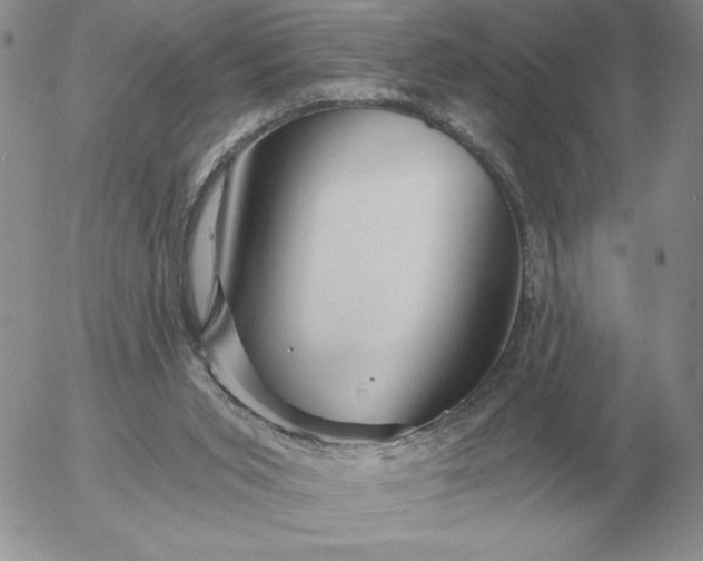 X0000052980015200507221339