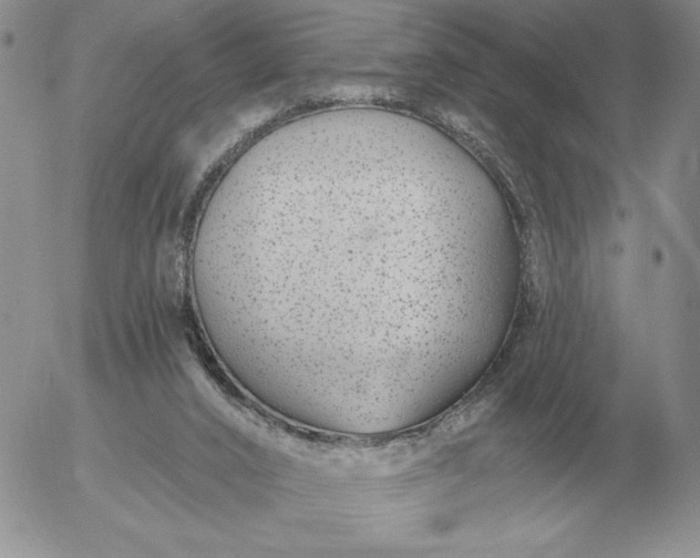 X0000052980016200507221339