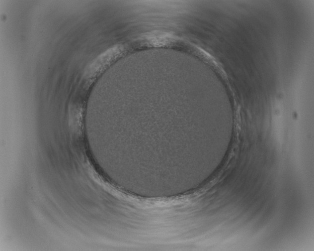 X0000052980018200507221339