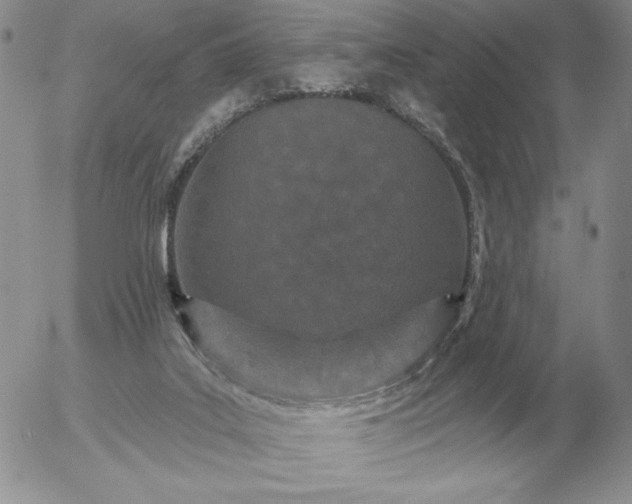 X0000052980019200507221339