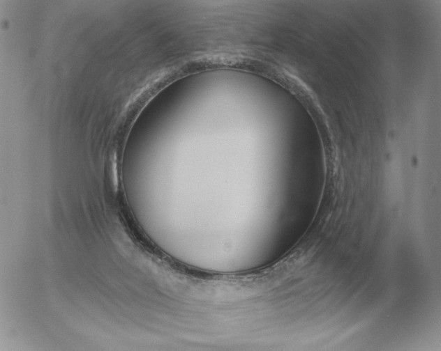 X0000052980020200507221339