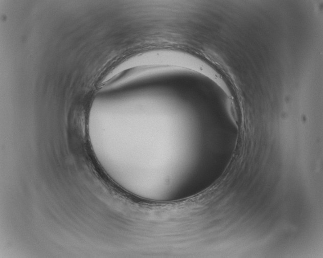 X0000052980021200507221339