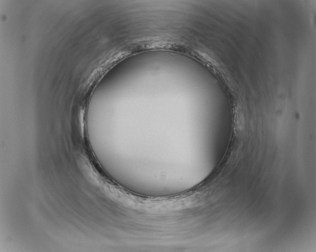 X0000052980022200507221339