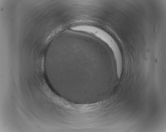 X0000052980023200507221339