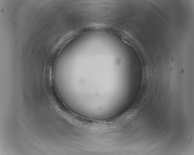 X0000052980024200507221339