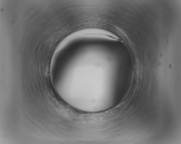 X0000052980025200507221339