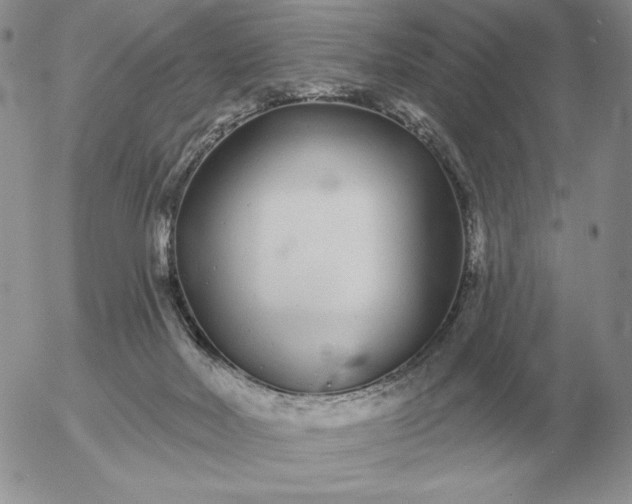 X0000052980026200507221339