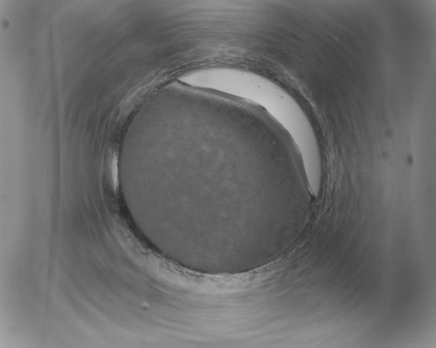 X0000052980027200507221339