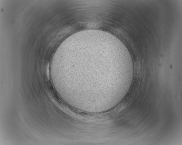 X0000052980028200507221339