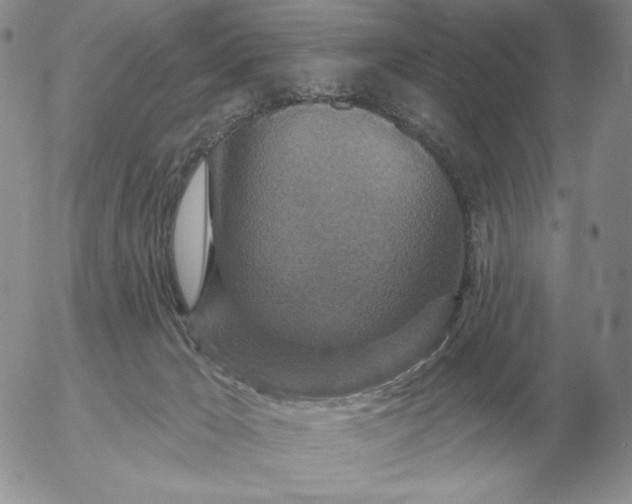 X0000052980029200507221339