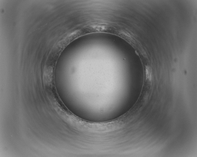 X0000052980030200507221339