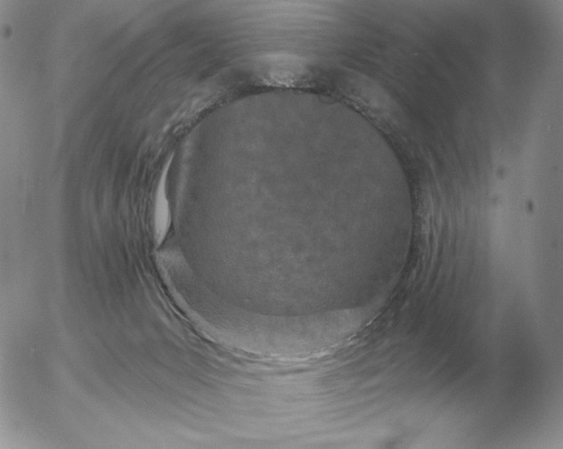 X0000052980031200507221339