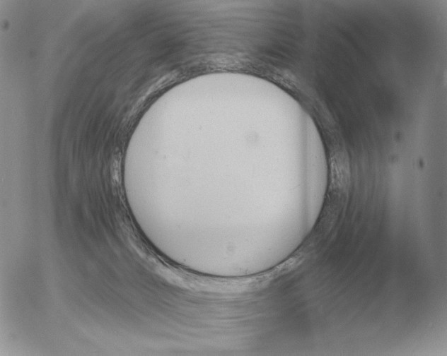 X0000052980032200507221339