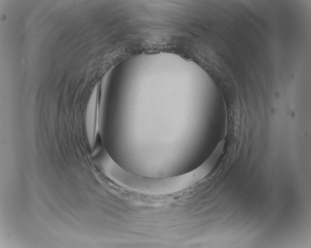 X0000052980033200507221339