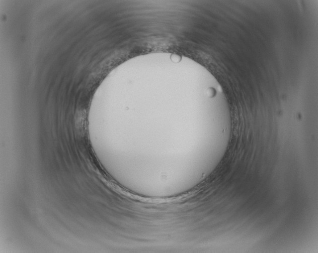 X0000052980034200507221339