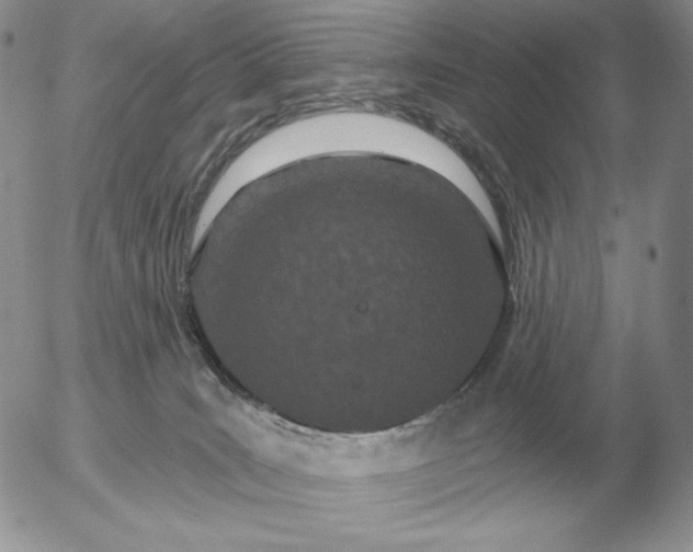 X0000052980035200507221339