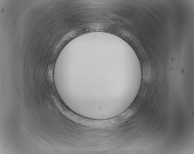 X0000052980036200507221339