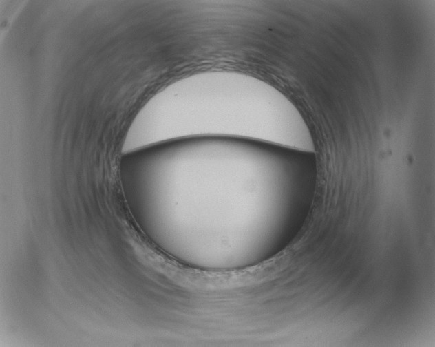 X0000052980037200507221339