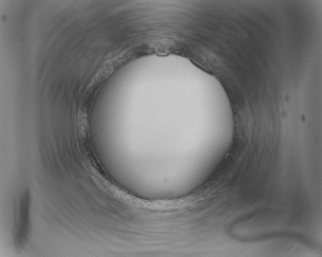 X0000052980038200507221339