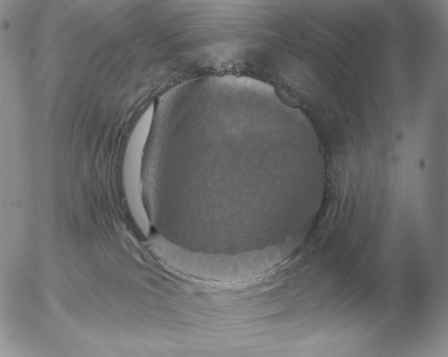 X0000052980039200507221339