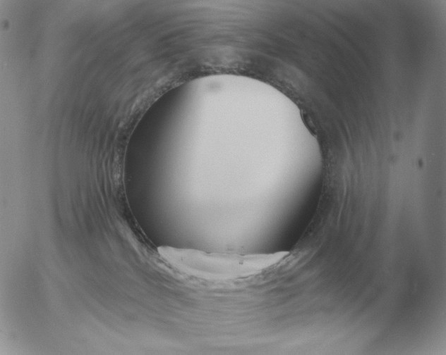 X0000052980040200507221339