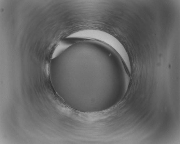 X0000052980041200507221339