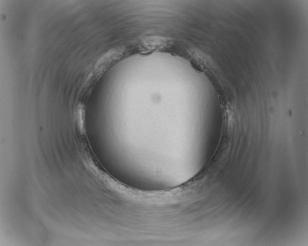 X0000052980042200507221339