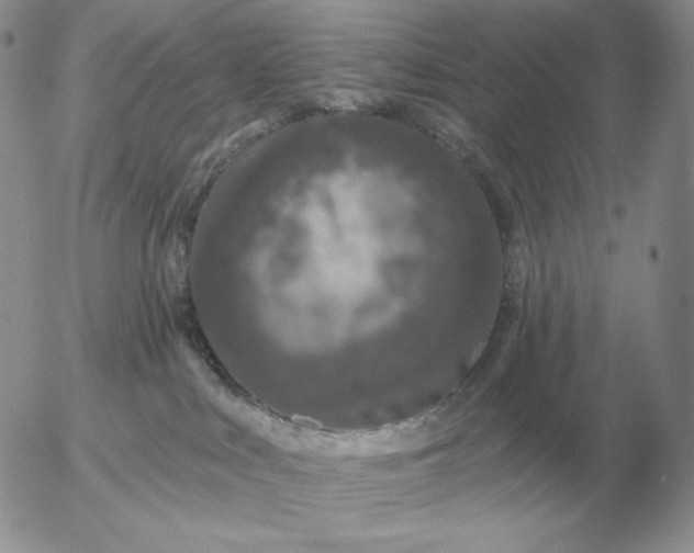 X0000052980043200507221339