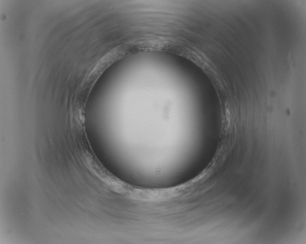 X0000052980045200507221338