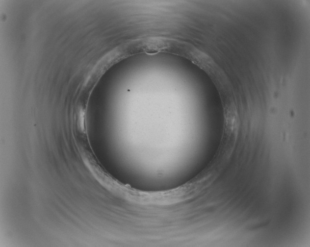 X0000052980046200507221338