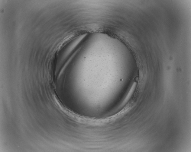 X0000052980048200507221338