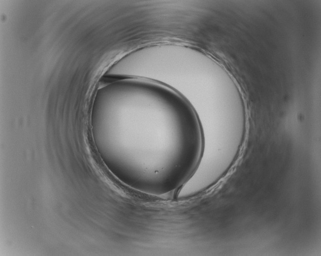 X0000052980049200507221338