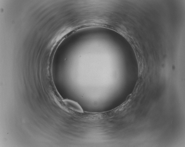 X0000052980050200507221338