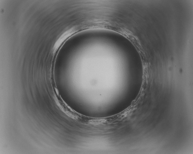 X0000052980051200507221338