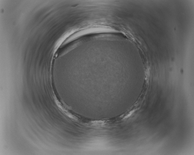 X0000052980052200507221338