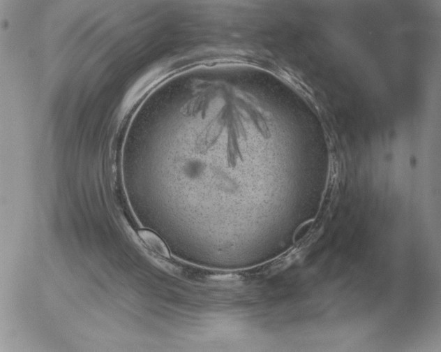 X0000052980053200507221338