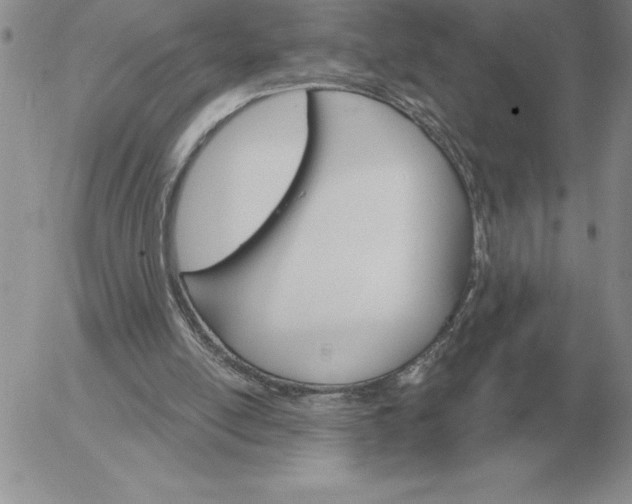 X0000052980054200507221338