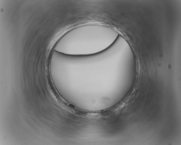 X0000052980055200507221338