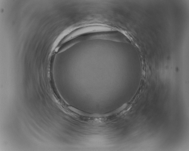 X0000052980056200507221338