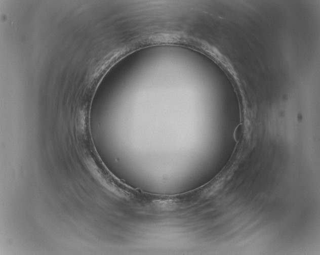 X0000052980057200507221338