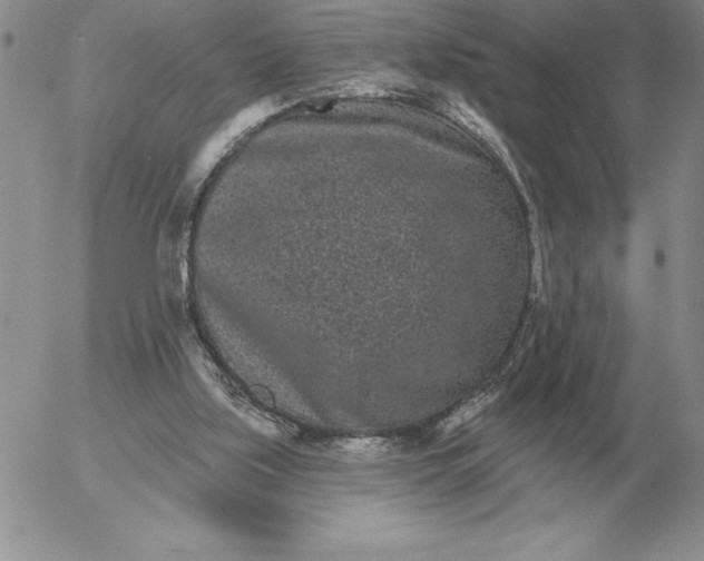 X0000052980059200507221338