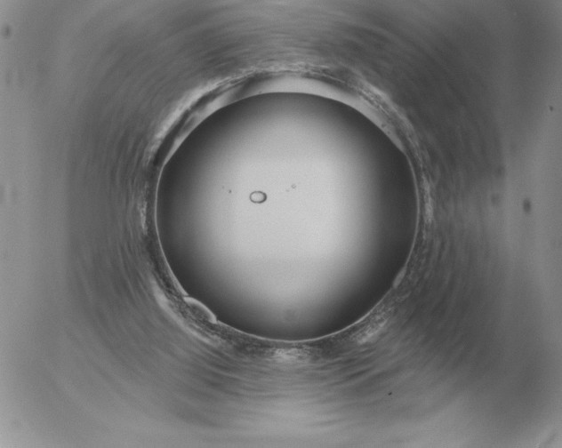 X0000052980060200507221338